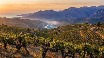 Les régions viticoles du Liban : Bekaa, Batroun, Jezzine, Mont-Liban
