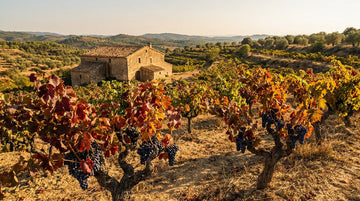 Acústic Celler : l’essence pure du terroir du Montsant
