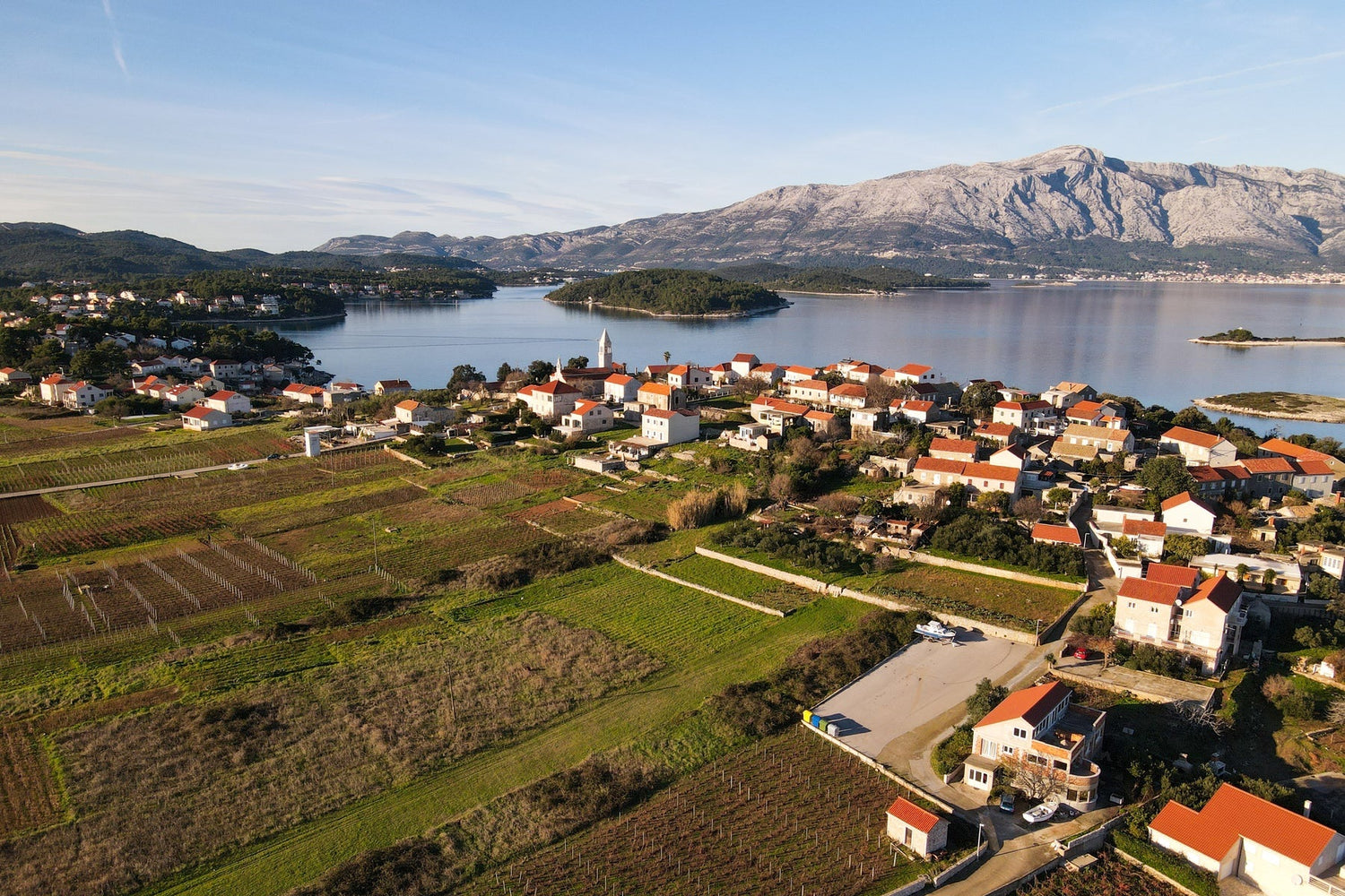 Wijnen uit Dalmatië