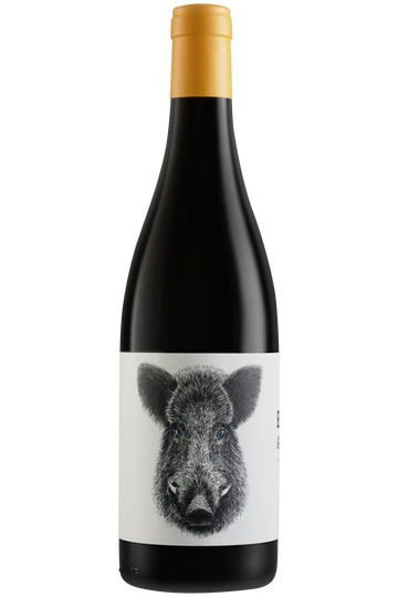 Casa Rojo Enemigo Mío 2022