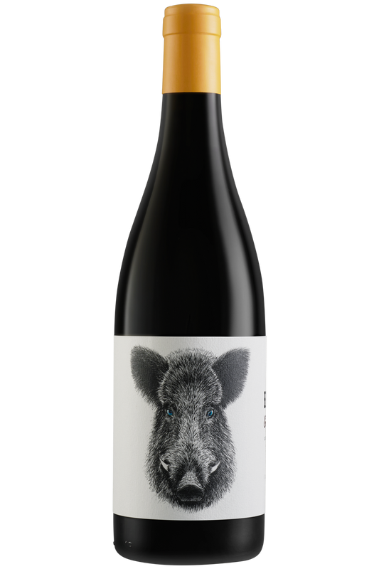 Casa Rojo Enemigo Mío 2022