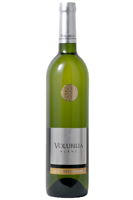 Villa Volubilia - Volubilia Wit 2024